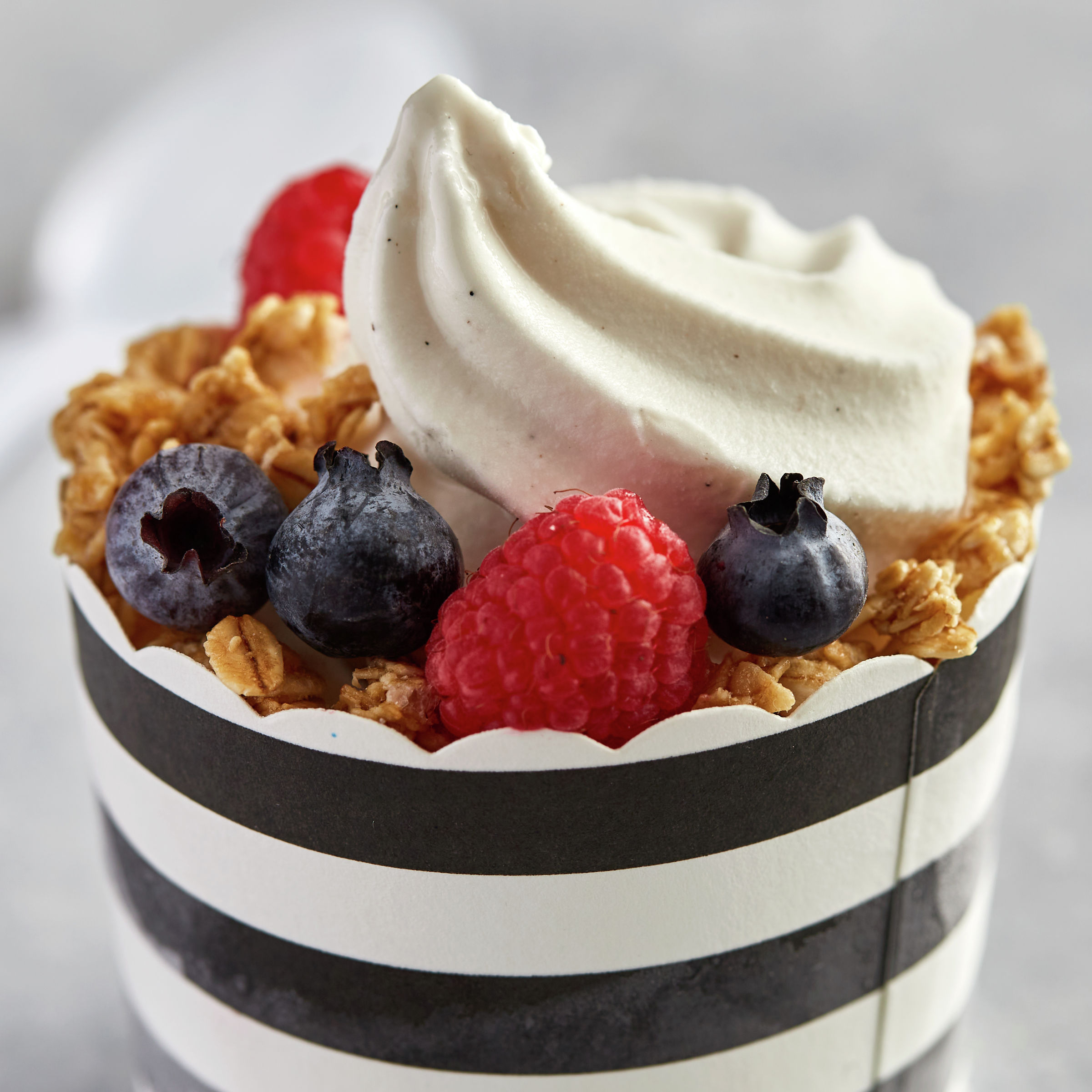 Colombo™ Frozen Yogurt Mix Bulk Soft Serve Fat Free Vanilla Bean 1 gal