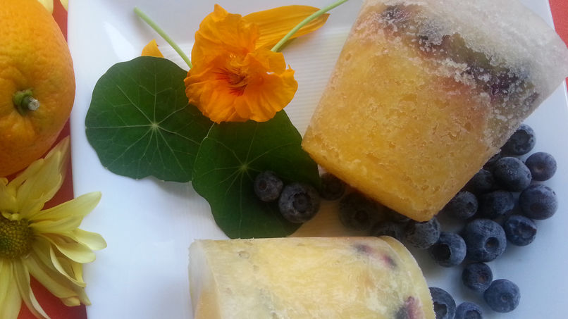 Paletas Heladas de Jugo de Naranja y Moras Azules