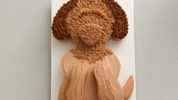 doodle the dog cake