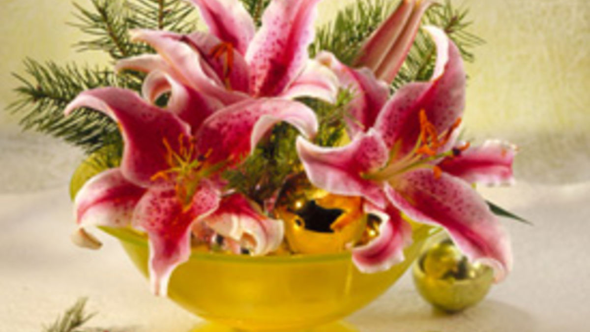 Christmas Ball Bowl